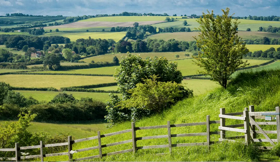 Rolling green hills, with trees and fence in the foreground